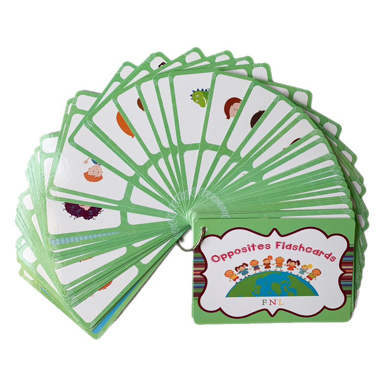 Kids Education Age - 100 Gruppi di Carte Flash con