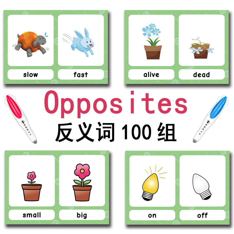 100 Gruppi di Carte Flash con  - Kids Education Age recensione e prezzo