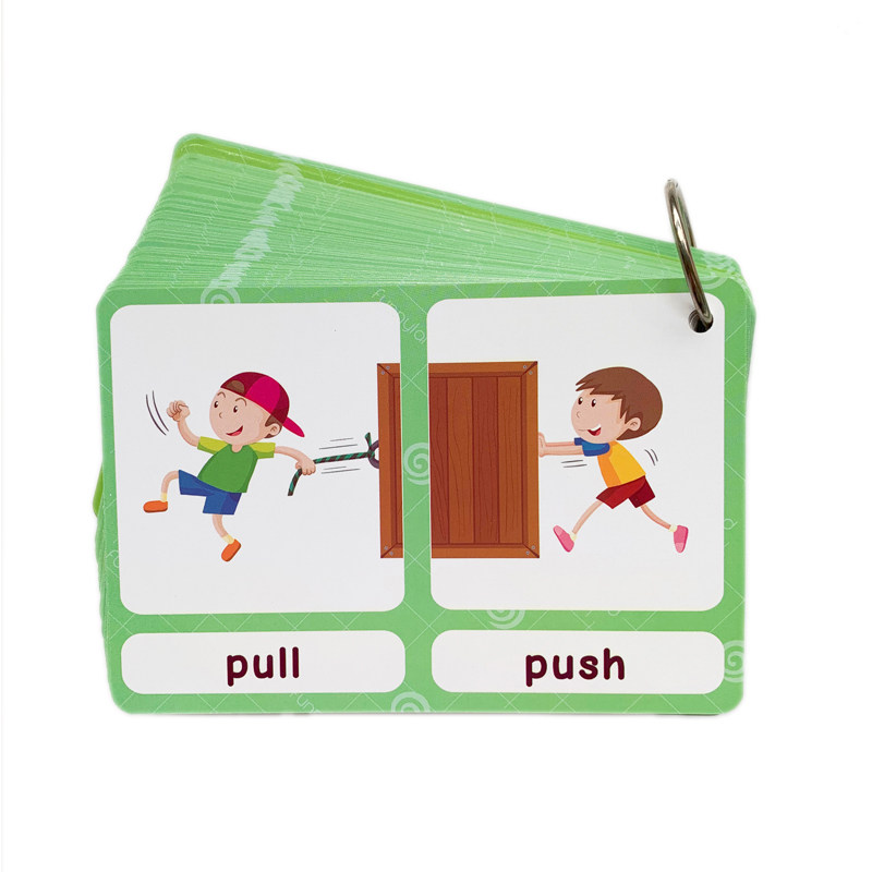 100 Gruppi di Carte Flash con  - Kids Education Age recensione e prezzo